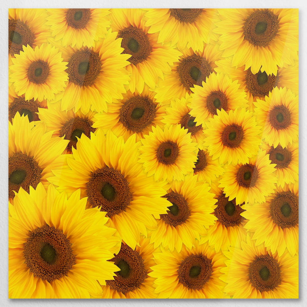 AC-080W080