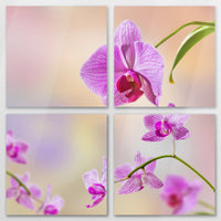 AL-120V120