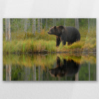 AC-045W030