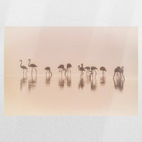 PO-030W020