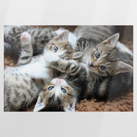 PO-090W060
