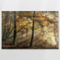 AL-075W050