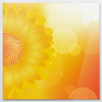 AC-080W080