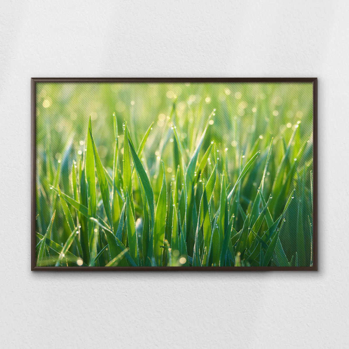 LWN100W070