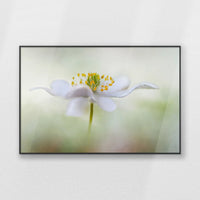 PB-100W070