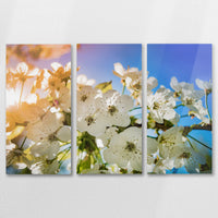 AC-090R060