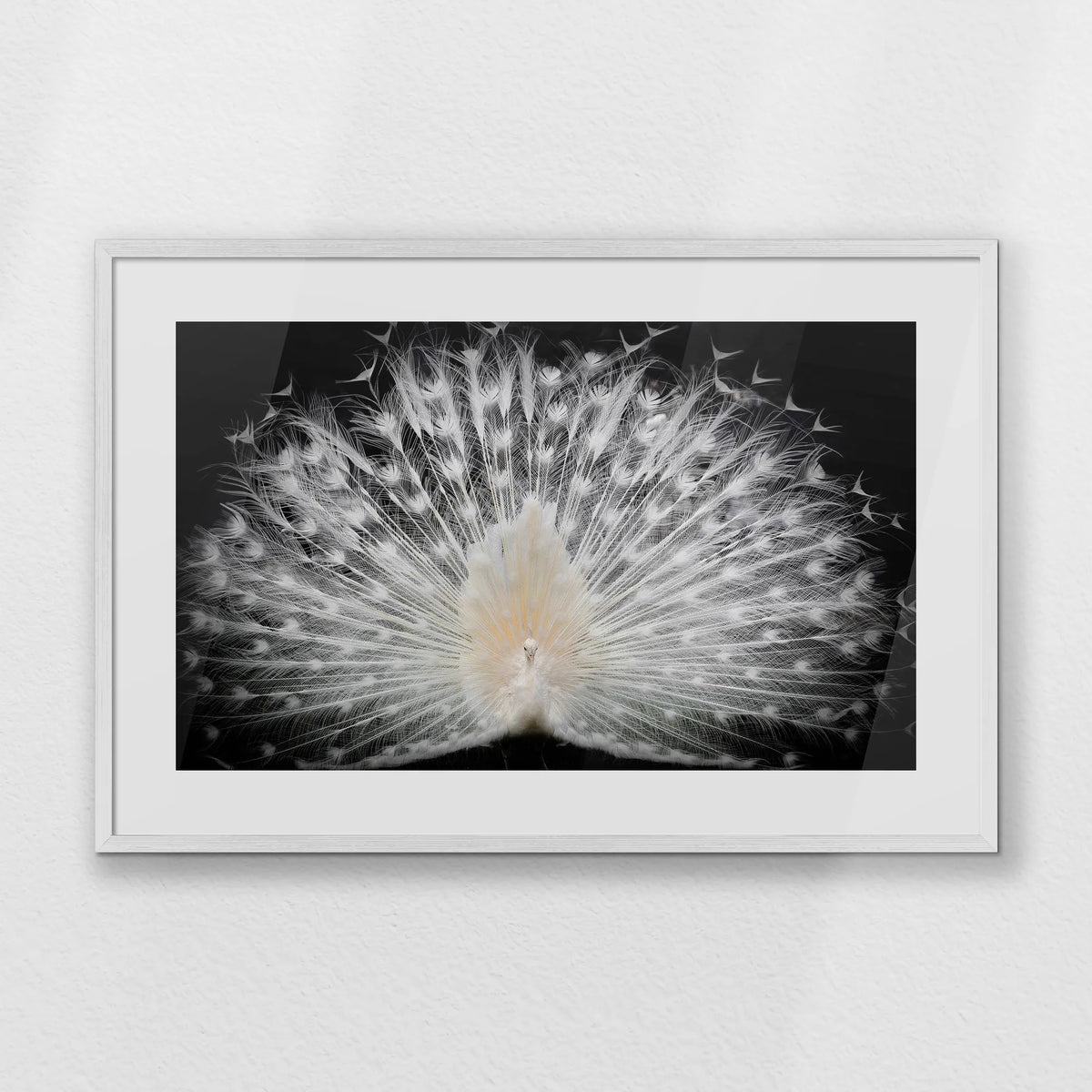 PWP093W062