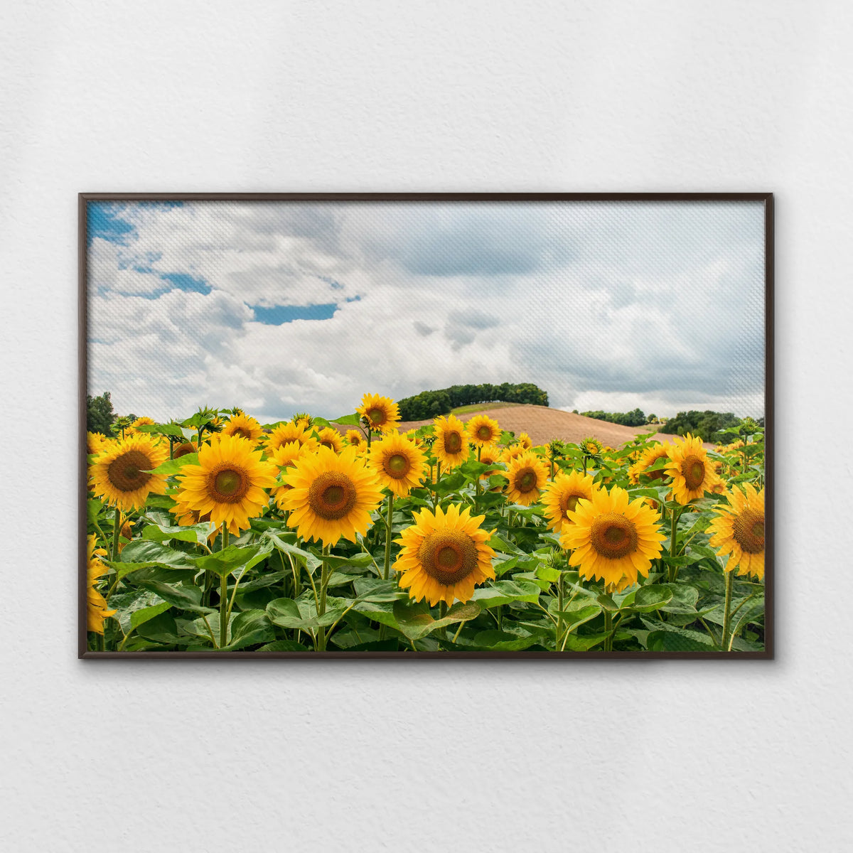 LWN120W080