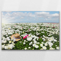 LW-075W050