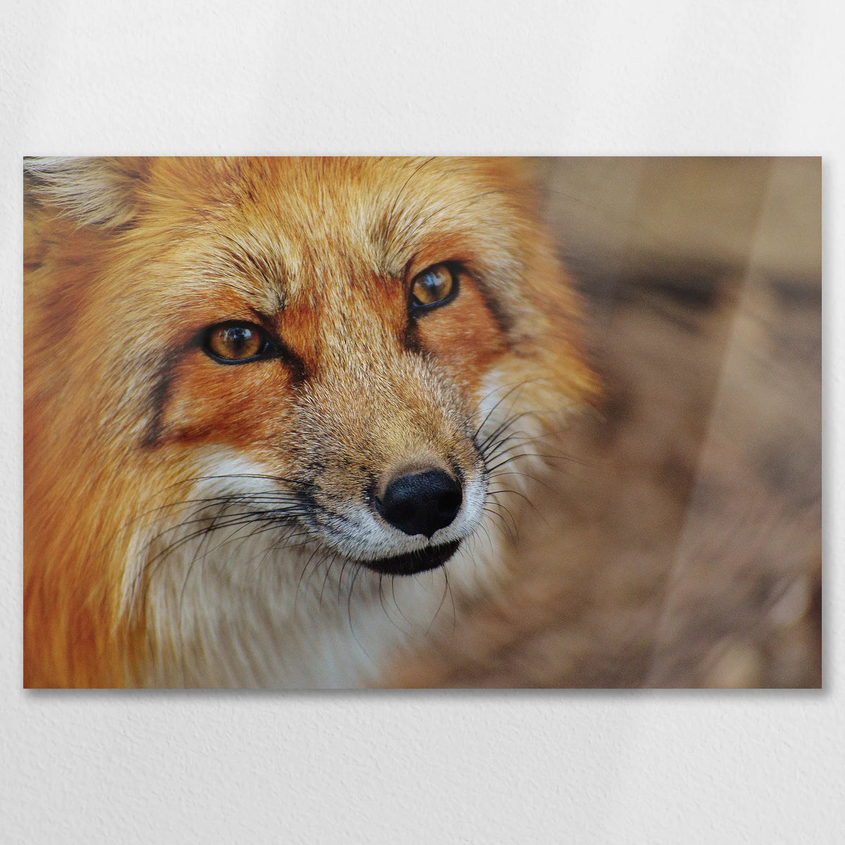 AL-075W050