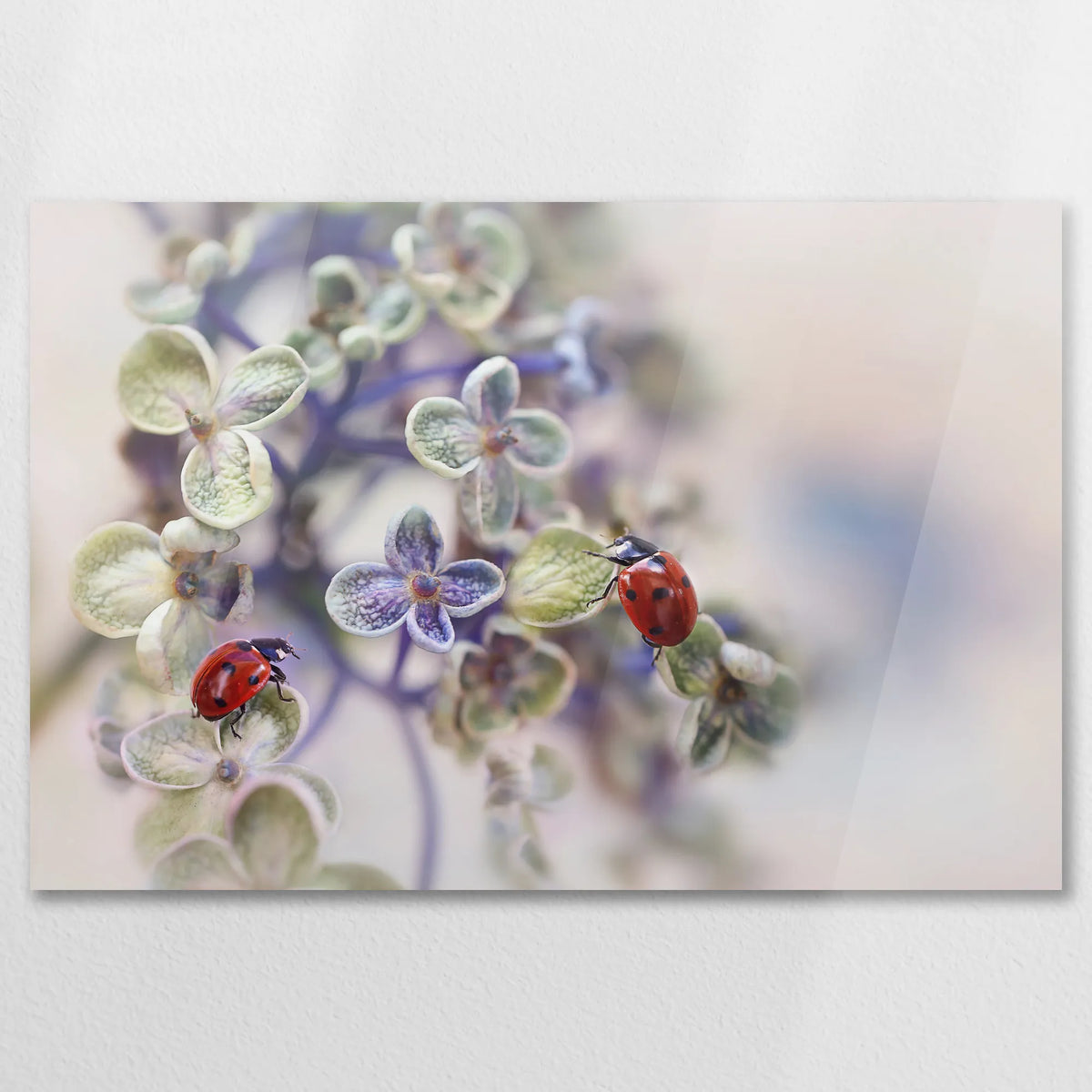 AC-075W050