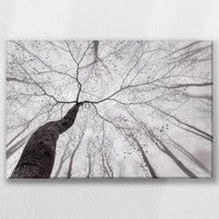 LW-045W030
