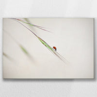 LW-045W030