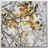 LW-080W080