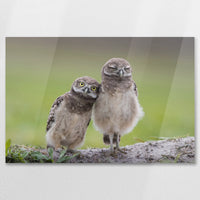 AC-090W060