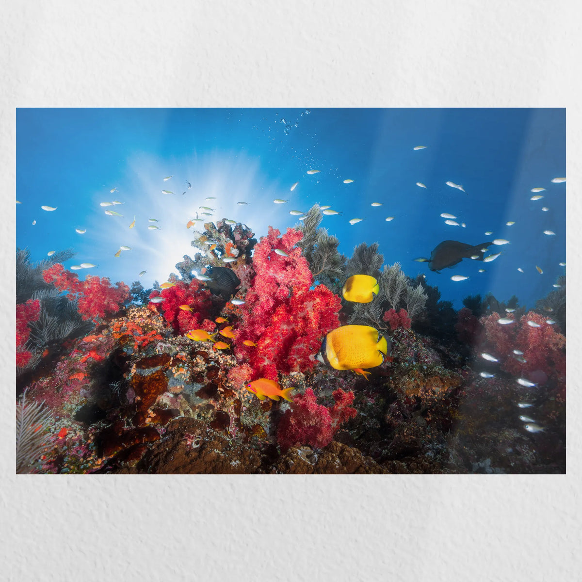 PO-030W020