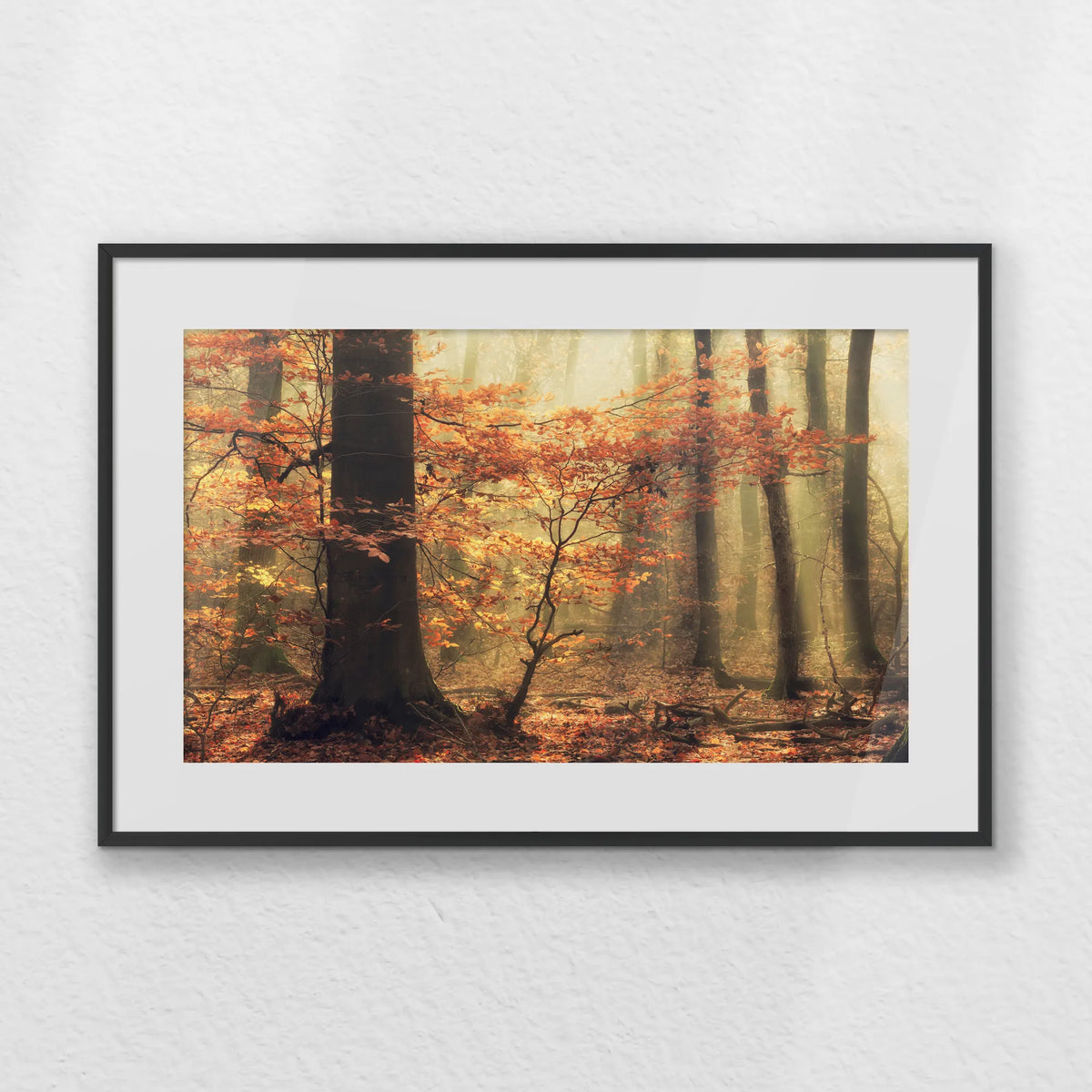 PBP060W040