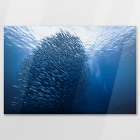 AL-090W060