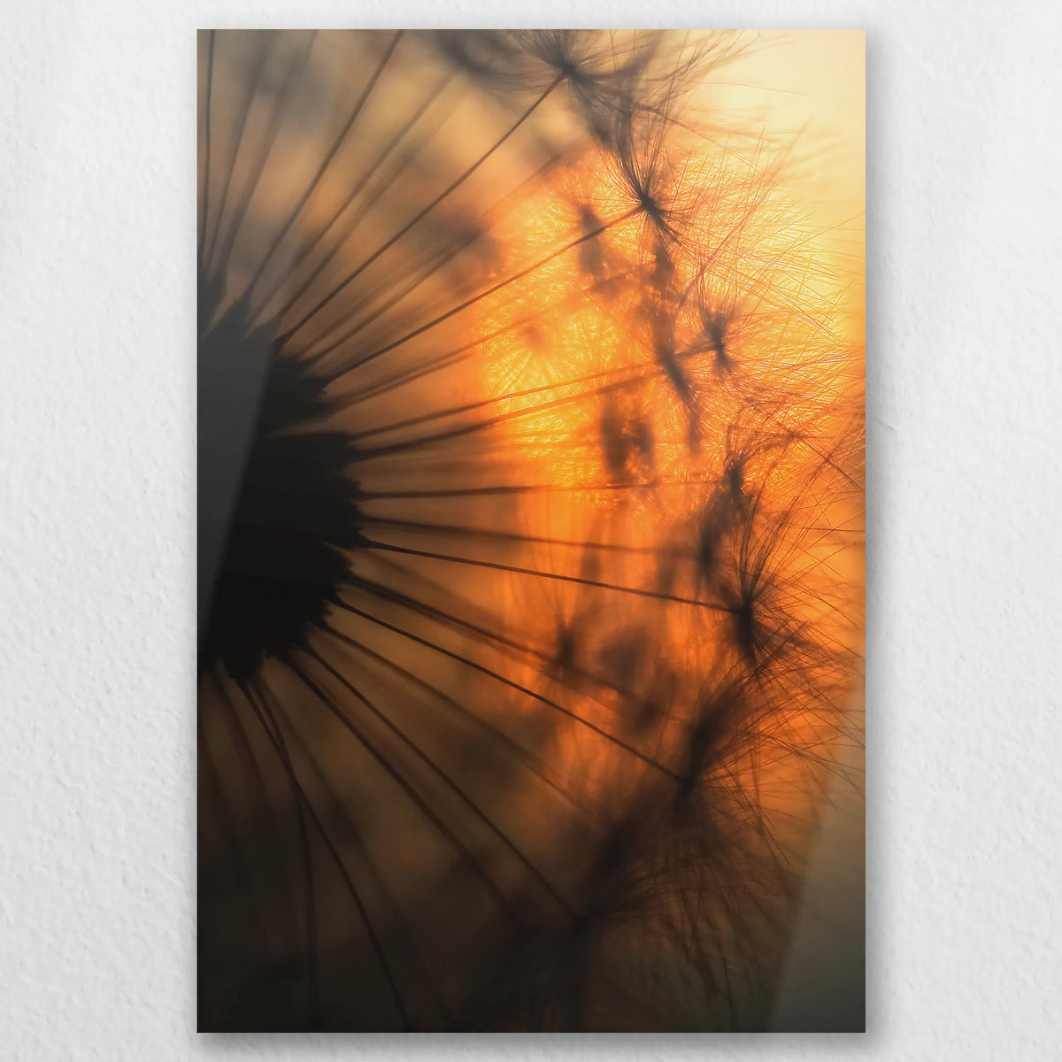 AL-050W075