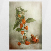 PO-040W060