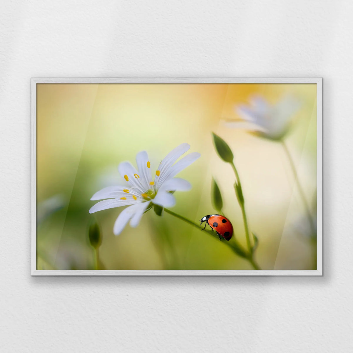 PW-093W062