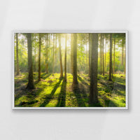 PW-093W062