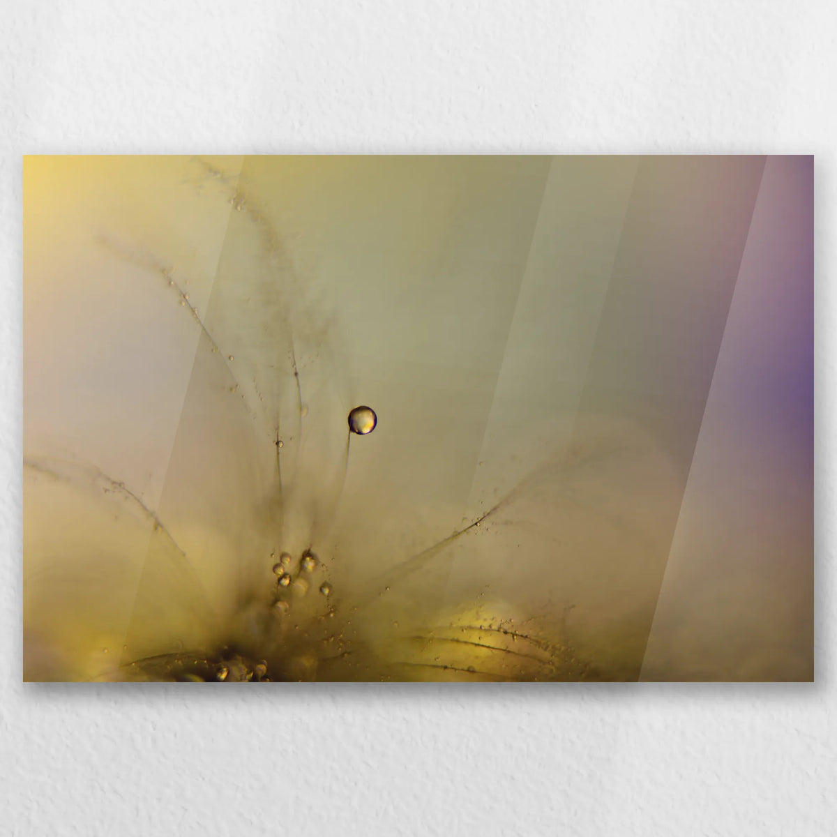 AC-030W020