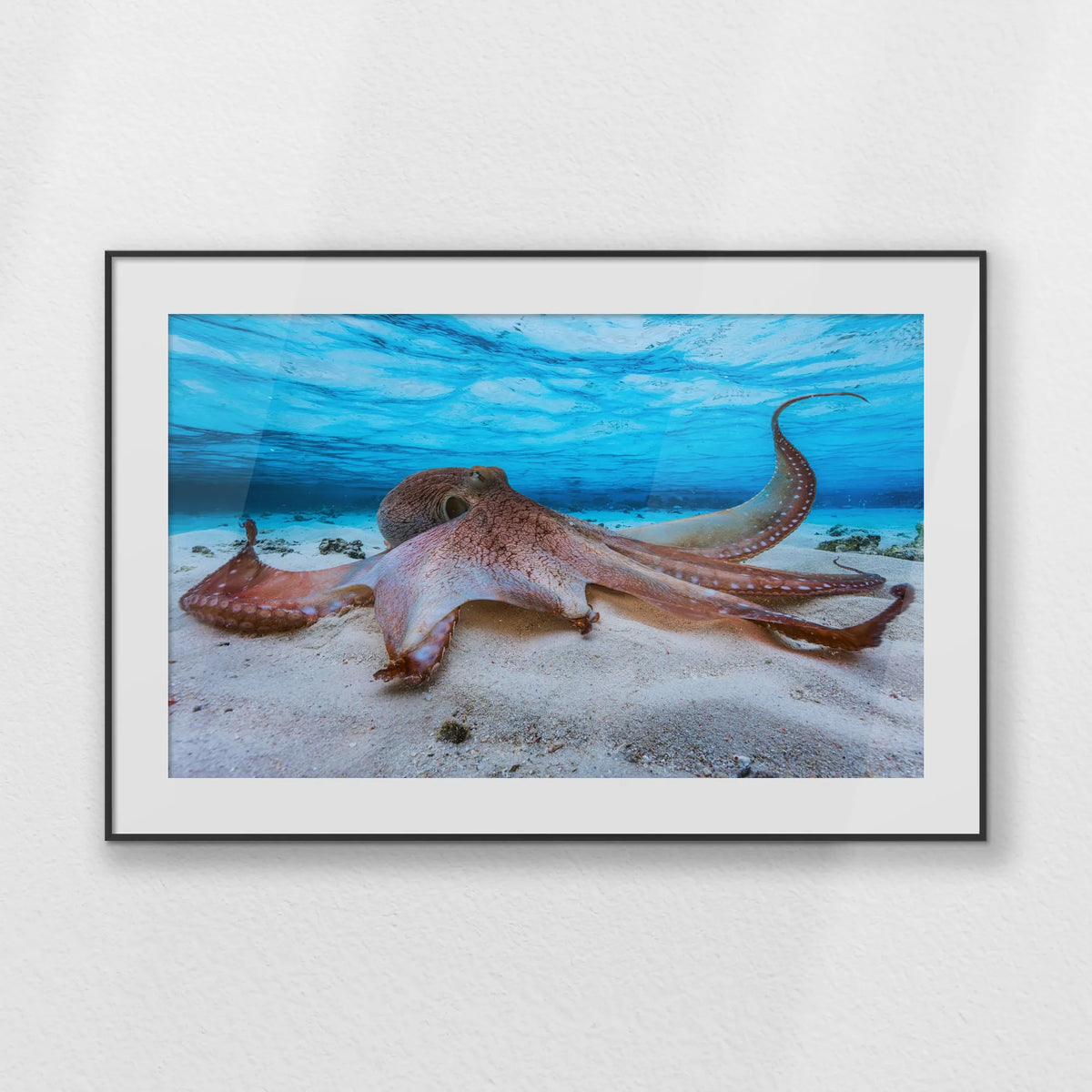 PBP100W070