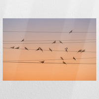 PO-030W020