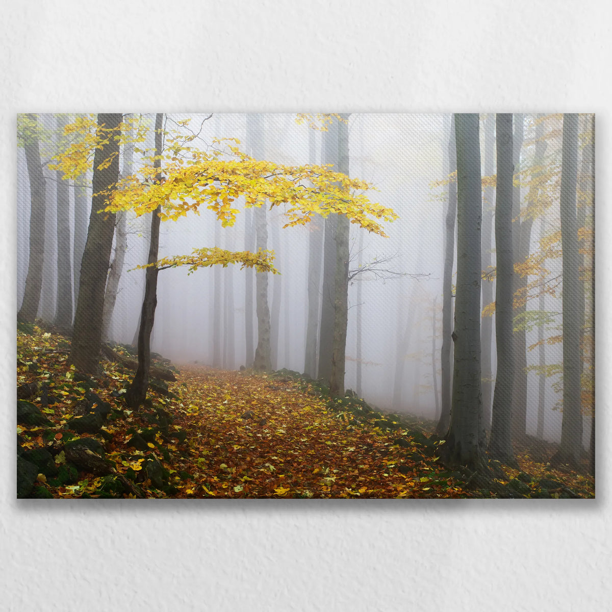 LW-075W050