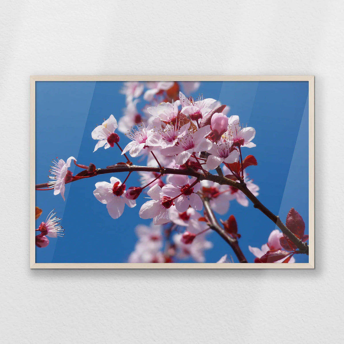PN-093W062