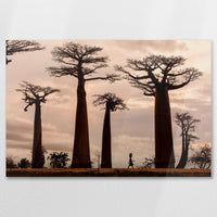AC-090W060