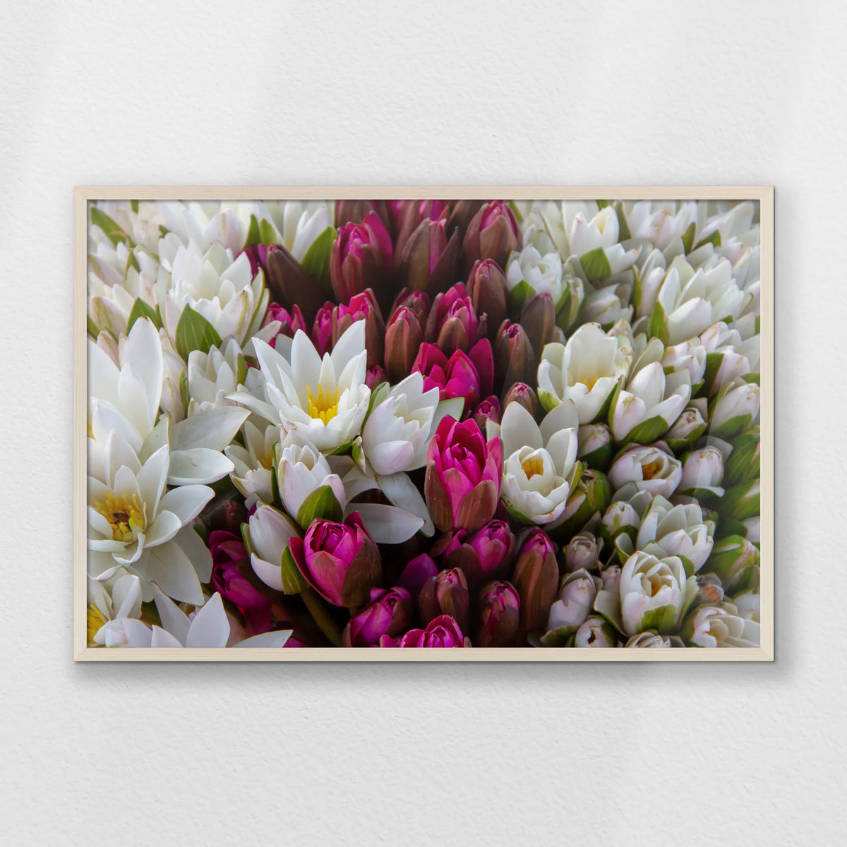 PN-093W062