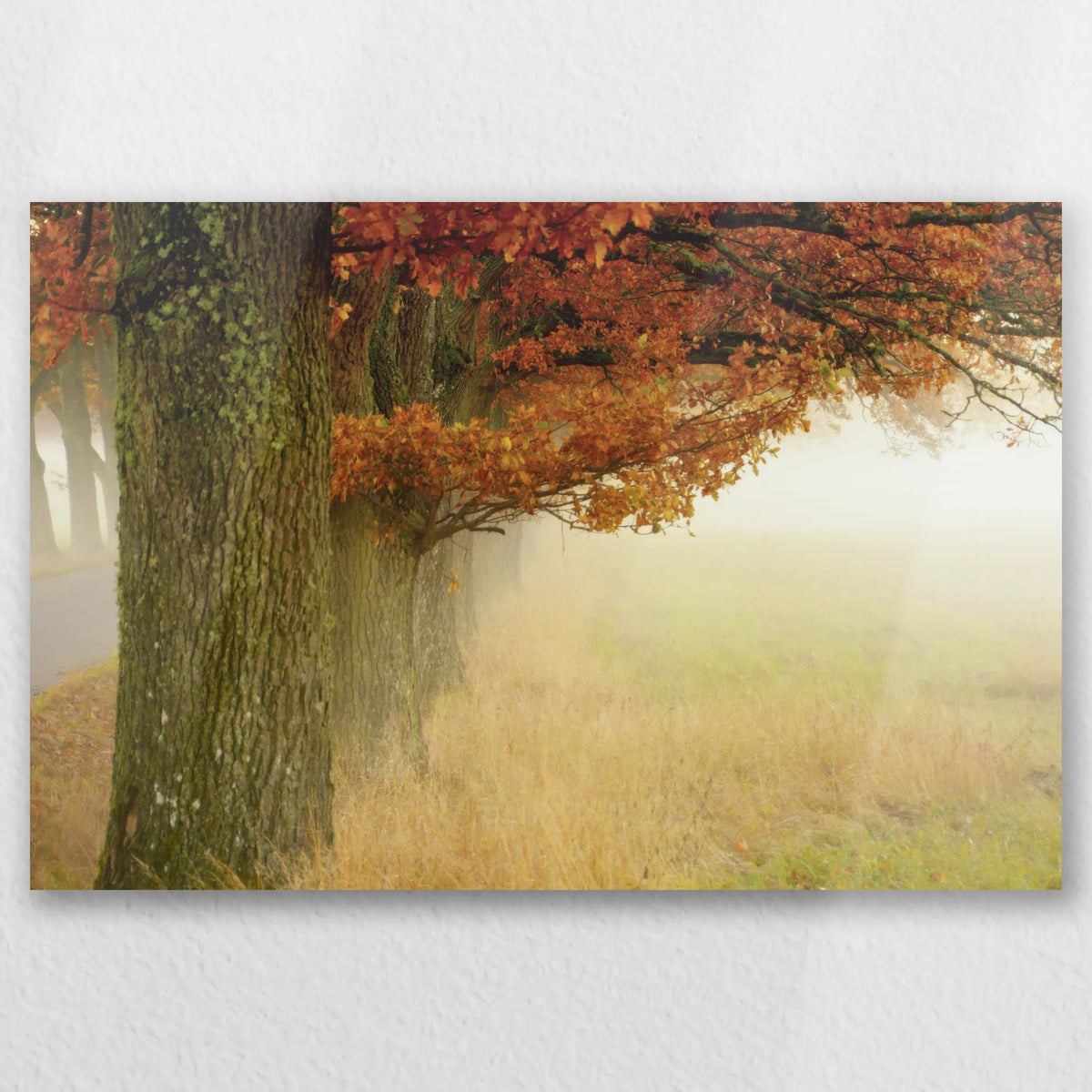 AL-030W020