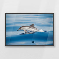PK-093W062