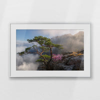 PSP093W062