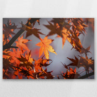 AC-045W030