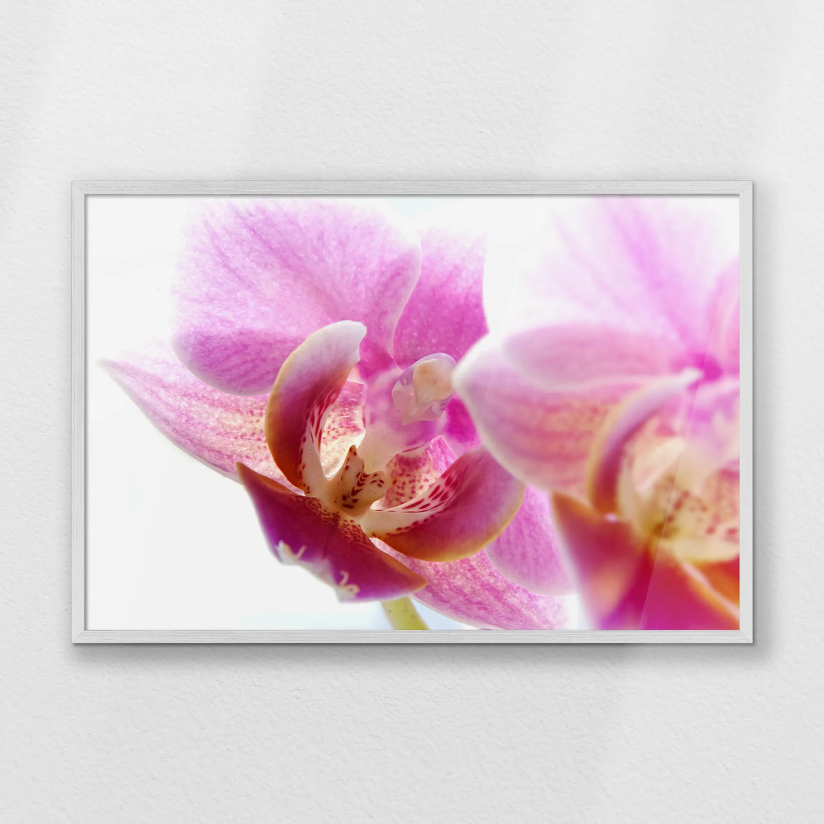 PW-093W062