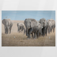 PO-075W050