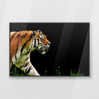 PB-093W062
