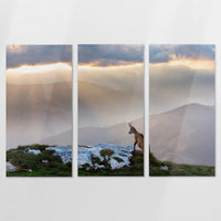 AL-180R120