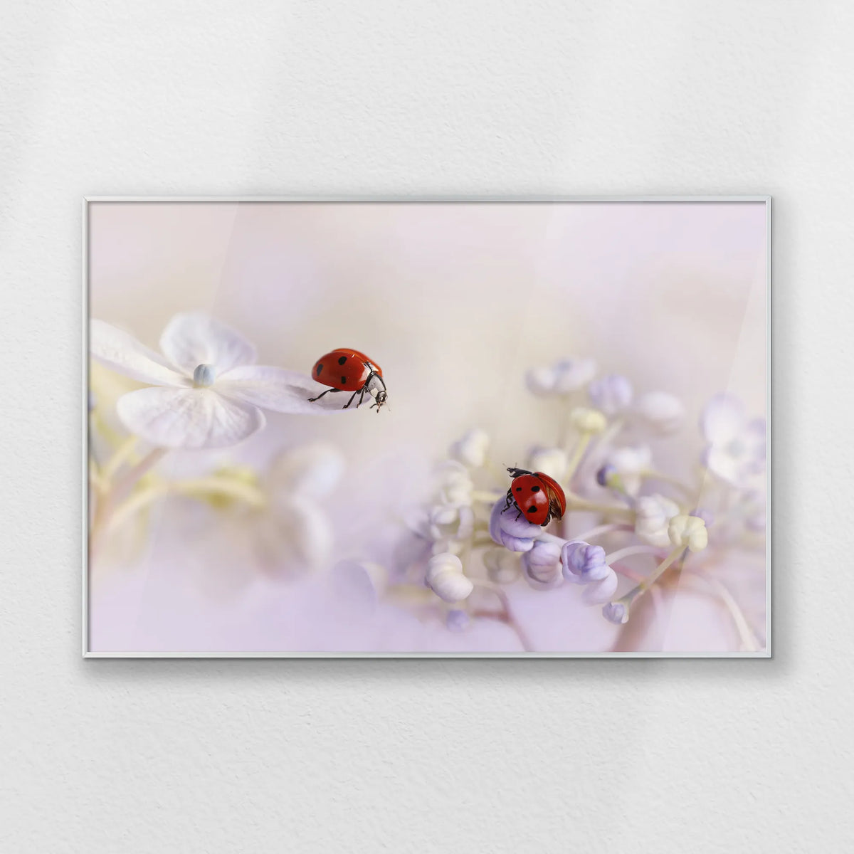 PS-100W070