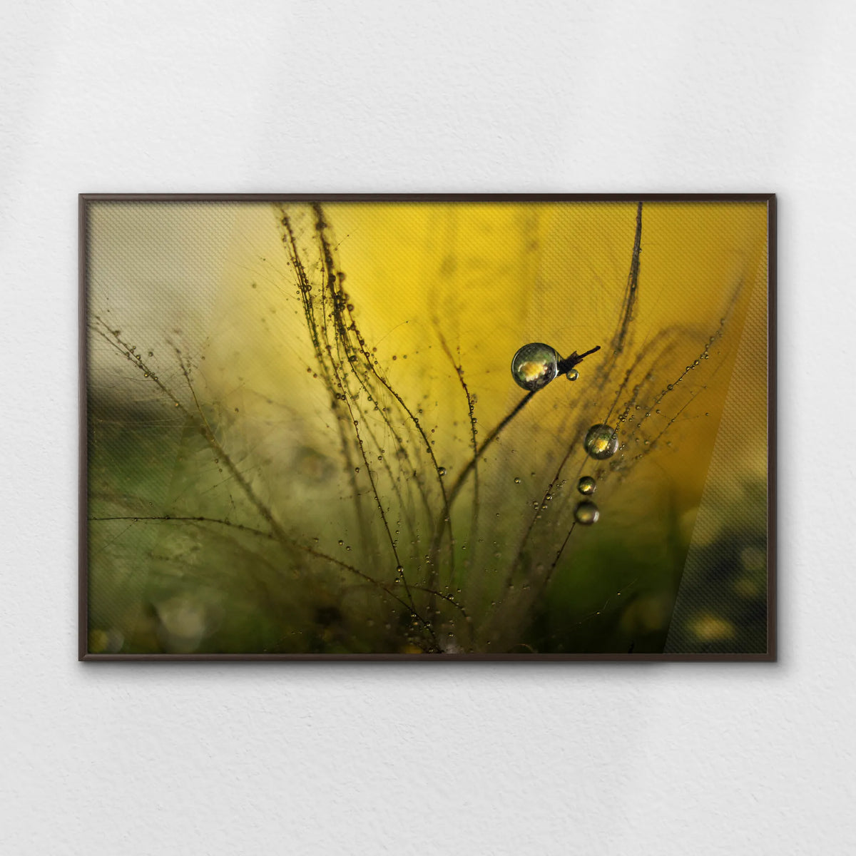 LWN120W080
