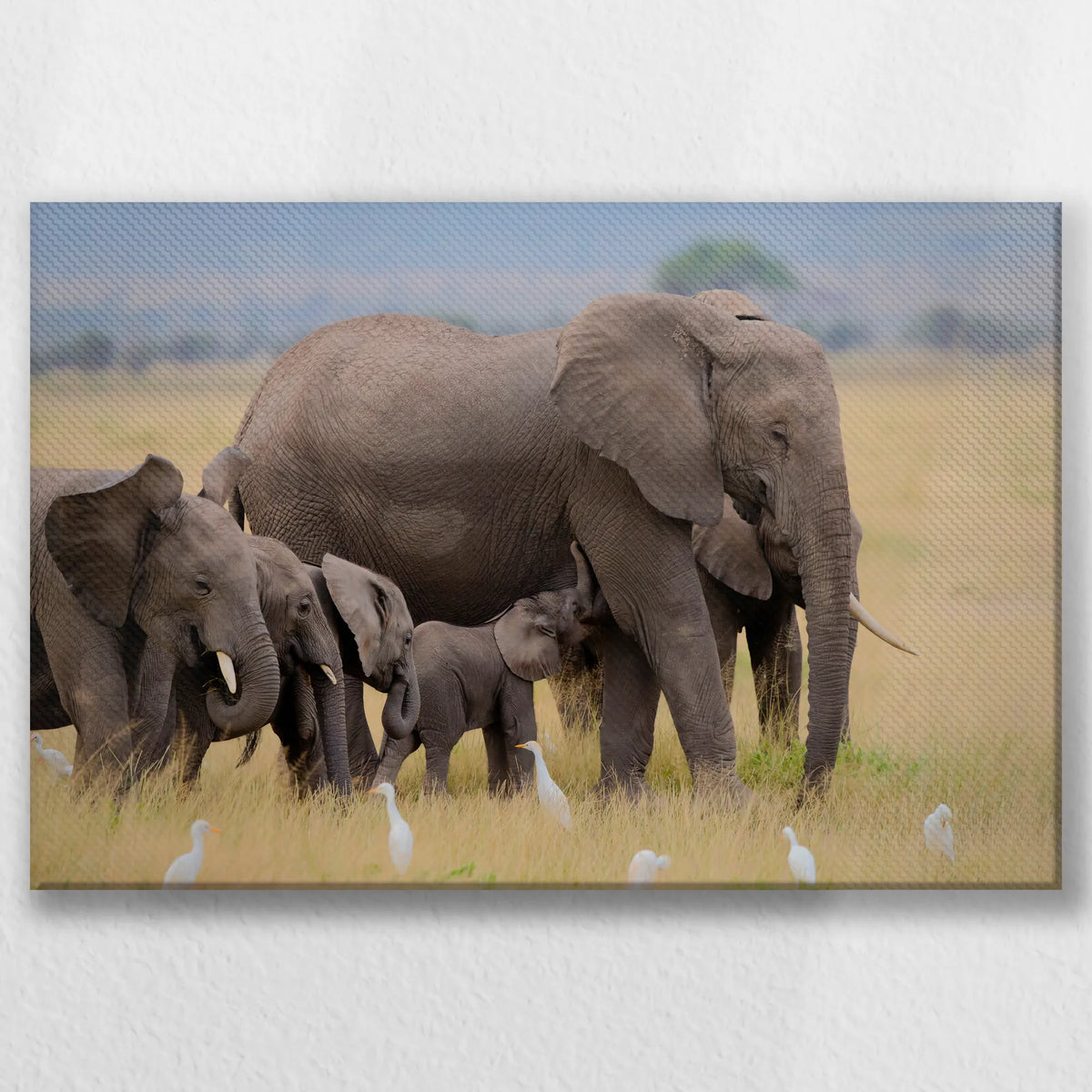 LW-045W030