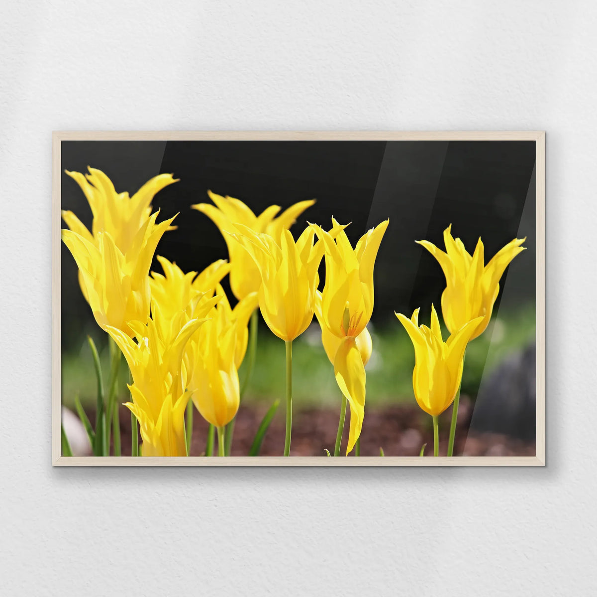 PN-093W062