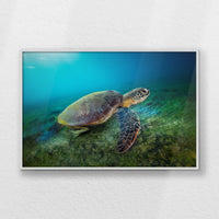 LWW120W080