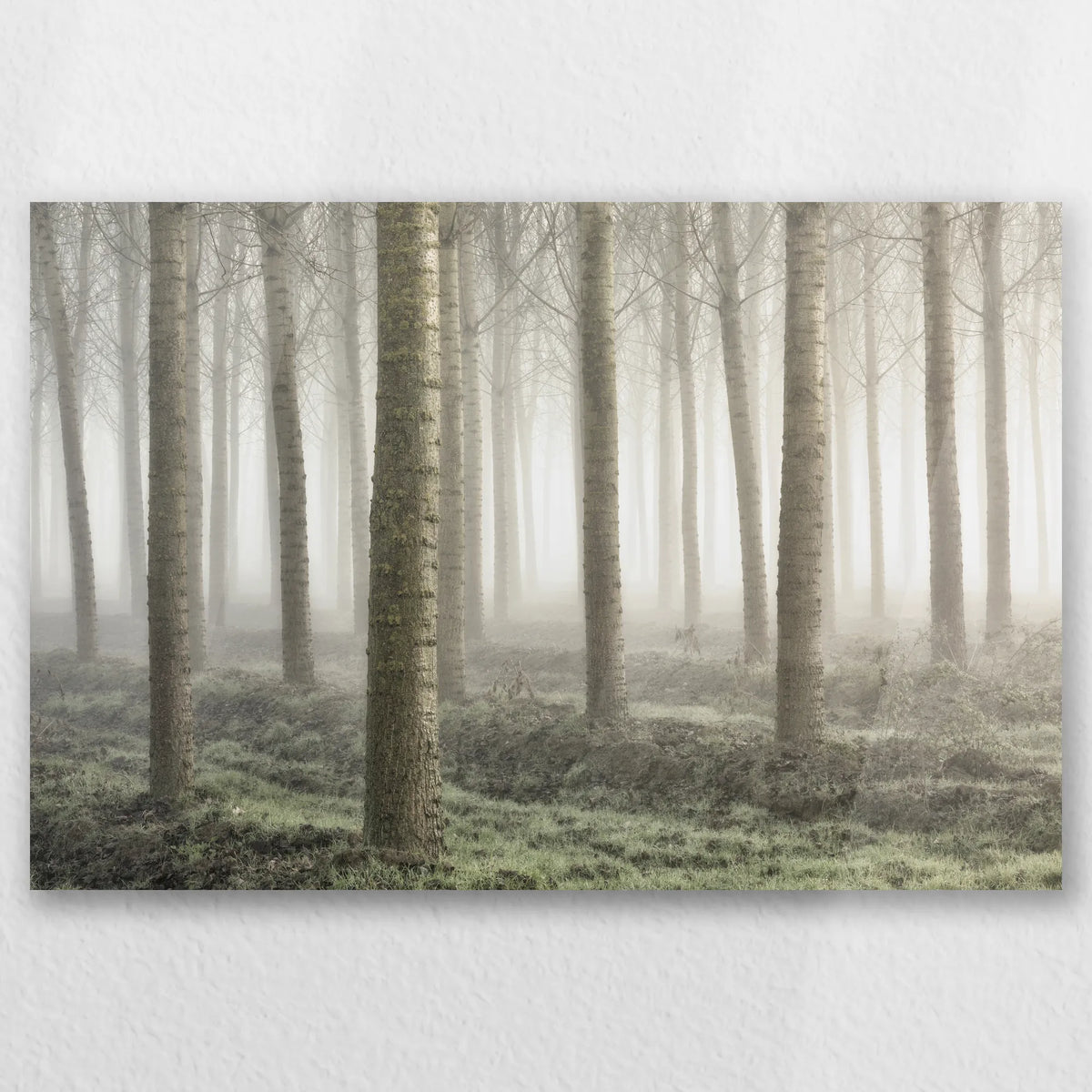 AC-030W020