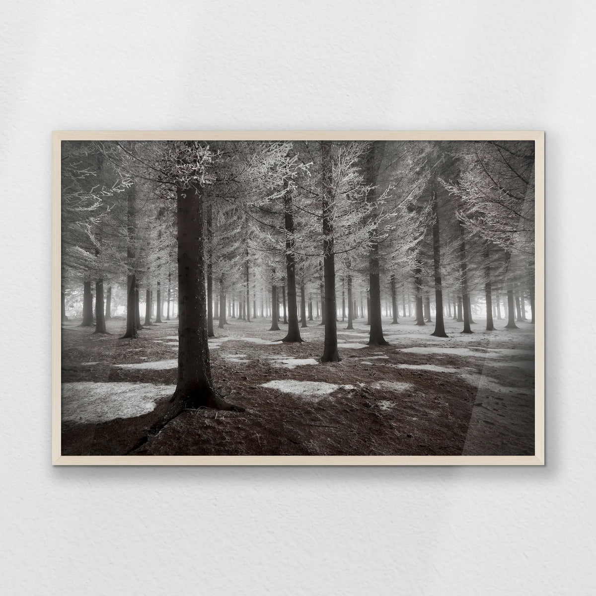 PN-093W062