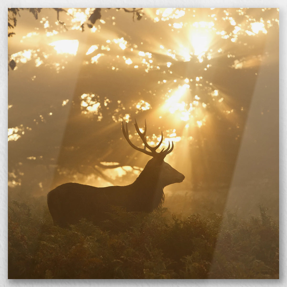 AL-030W030
