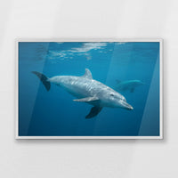 PW-093W062